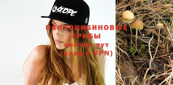 MDMA Premium VHQ Богородск