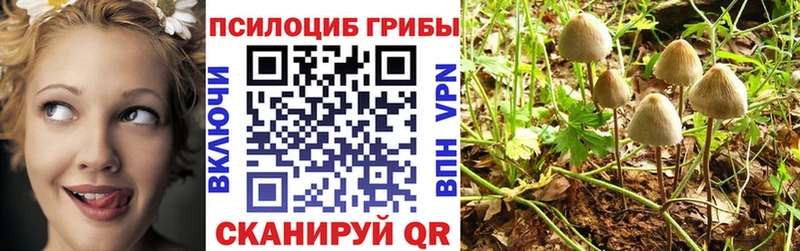 Псилоцибиновые грибы MAGIC MUSHROOMS  Купить где  Жирновск 